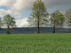 Nejvýhodnější investice již od 350 000 Kč pro Vás - 3