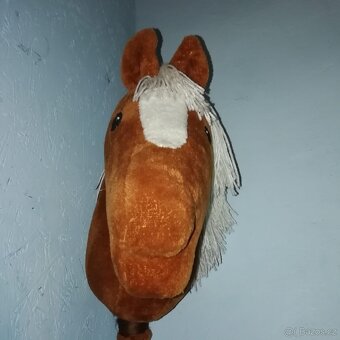 Hobby horse - 3
