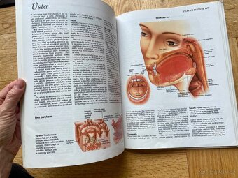 Atlas lidského těla - 3