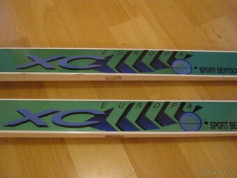 Běžky FISCHER  Crown XC, 195cm, váz. SNS SALOMON - 3