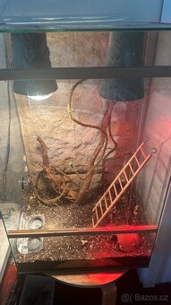 Terárium pro chameleona - 3