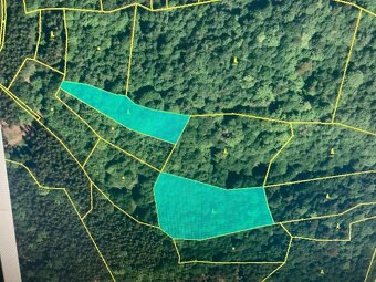 PRODEJ LESA 11 764 m2 Vsetín 211.752,- Kč (18,- Kč/m2) - 3