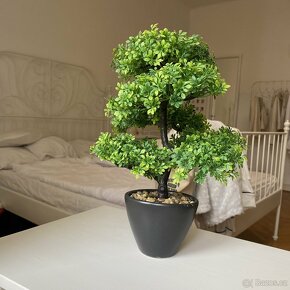 Umělá bonsai - 3