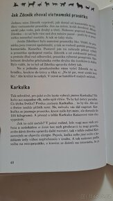 Chcete mě ? od Jana Zakaria - 3