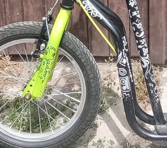 Koloběžka Yedoo City Hipster, nosnost 120 kg - 3