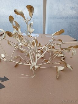 Jmelí zlaté prodam - 3