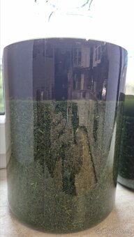 Šalvěj tinktura - 3