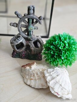 2x Akvárium robimaus 25×15×15 - 3