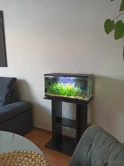 Akvárium+stolek+Led wrgb trubice - 3