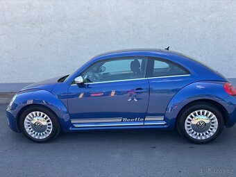 New beetle - 3