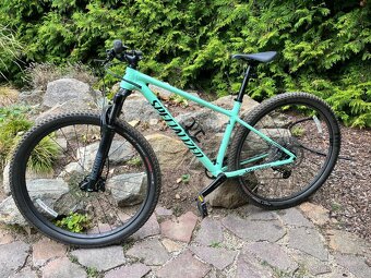 Horské kolo Specialized Chisel - Oasis/Forest Green - 3