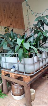 Podstavec, stojan pod - 3