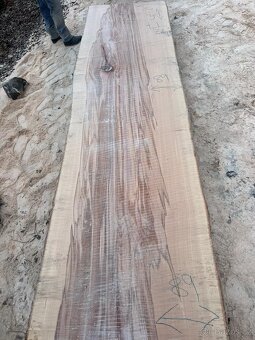 Bukové fošny XXL - 3