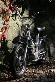 MALAGUTI FIFTY 50 TOP STAV VETERAN - 3