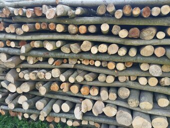 PALIVOVÉ DŘEVO - 3