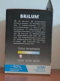 Velké LED žárovky 8W BRILUM - 3