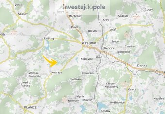 Prodej louky v k.ú. Nová Ves u Nepomuka - 3