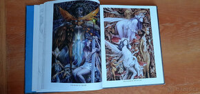 Brian Froud - velké knihy ilustrací víl a skřítků + karty - 3