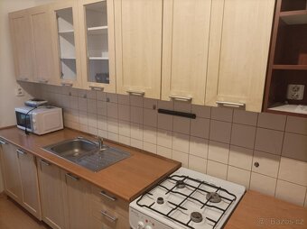 Pronájem bytu 1+1, 40m2-REZERVACE - 3