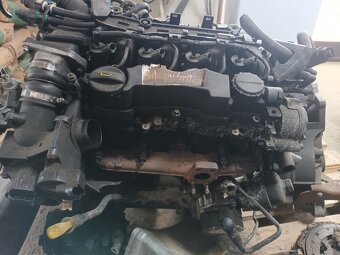 Motor- 1,6TDCI 80kw Ford Focus - 3