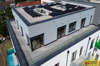 Znojmo, pronájem bytu OV 2+kk,  62 m², terasa – byt - 3
