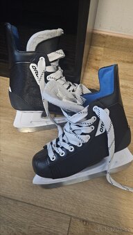 Lední brusle Oroks 100 velikost 36 - 3