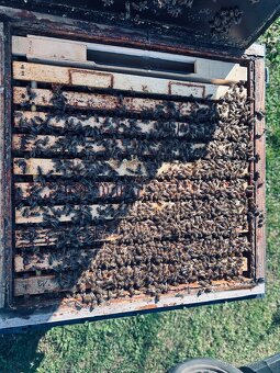 Vyzimovaný oddělek - 3