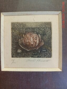 Grafika Anna Khunová. - 3