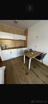 Pronájem apartmánu 1+KK s lodžií v Bavorské Rudě - 3