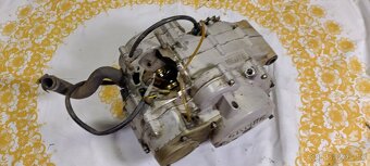 Motor Rotax 123 Aprilia AF1 Pegaso Red Rose - 3