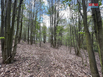 Prodej zahrady, 2545 m², Chrastava, Andělská Hora - 3