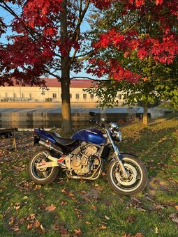 Honda cb600f 2001 hornet - 3