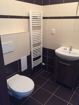 Pronájem zrekonstruovaného bytu 1+1 v ul. Thomayerova v Ústí - 3