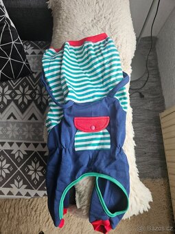 Obleček pro pejska - 3