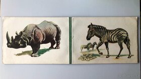 ZOO - lepolero - 3