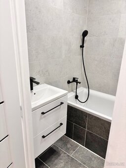 Pronájem bytu 2+1, 56m², Nová Role - 3