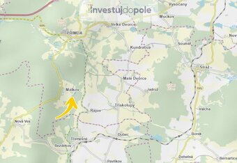Prodej louky v k.ú. Málkov u Přimdy - 3