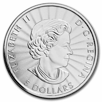 1 OZ stříbrná mince Majestic Polar Bear 2022 - 3