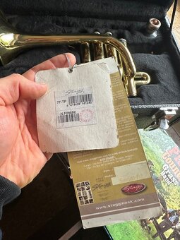 Prodám Trumpetu Stagg - 3