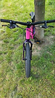Trek Wahoo 20 - 3