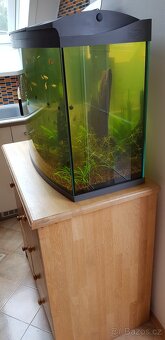 akvarium 130 LITRU - 3