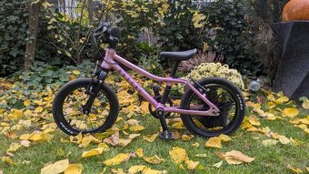 Růžové kolo Rascal - 14 - 3