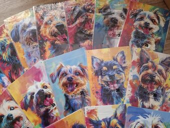 Plechová cedule 20x30cm JORKŠÍR - 3