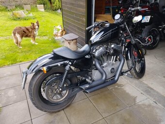 Harley Davidson XL1200n - 3