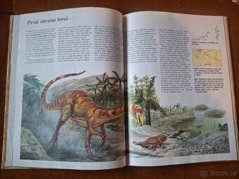 Dětská kniha Dinosauři A4 - 3