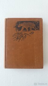 Jules Verne/Tajuplný ostrov, Nový Hrabě Monte Kristo - 3