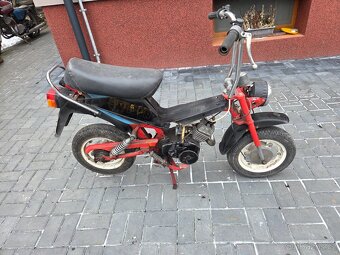 MOKIK Babetta - STELLA riga /1/ - 3