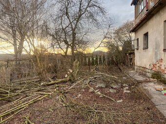 Pokácené dřevo ovocných stromů - 3