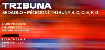Grand Prix MotoGP - 3