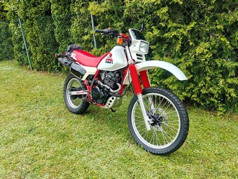 Honda XL 600 R PD03E - 3
